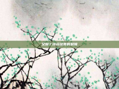 又到了域名续费的时候