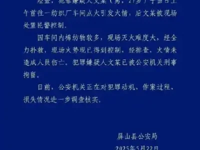 对四川屏山一纺织纵火案的看法