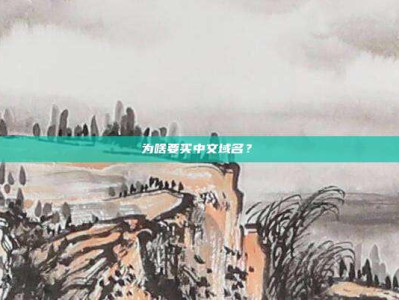 为啥要买中文域名?