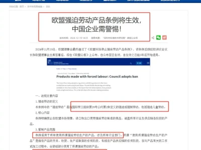 中国企业需要欧盟治理?