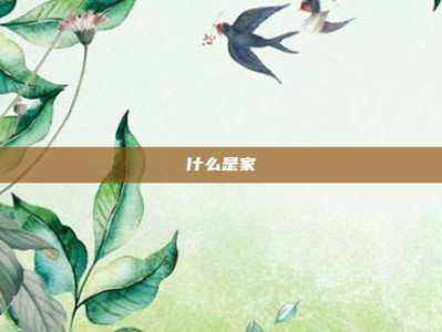 什么是家