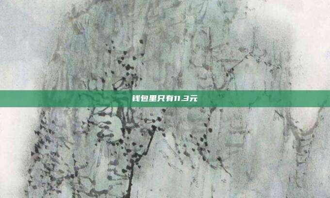 钱包里只有11.3元